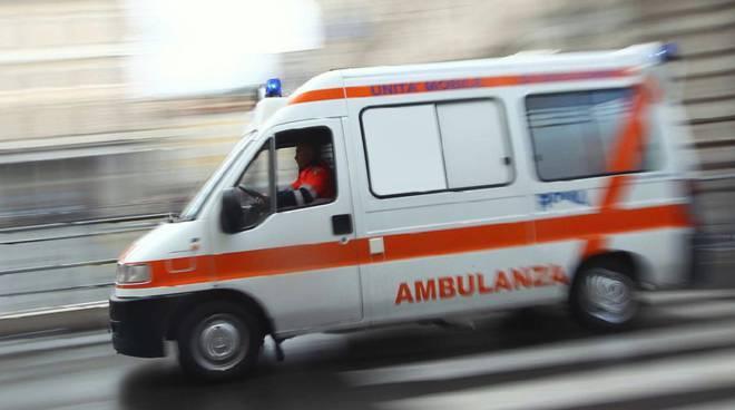 Ha un malore e cade dall'ulivo: grave in ospedale