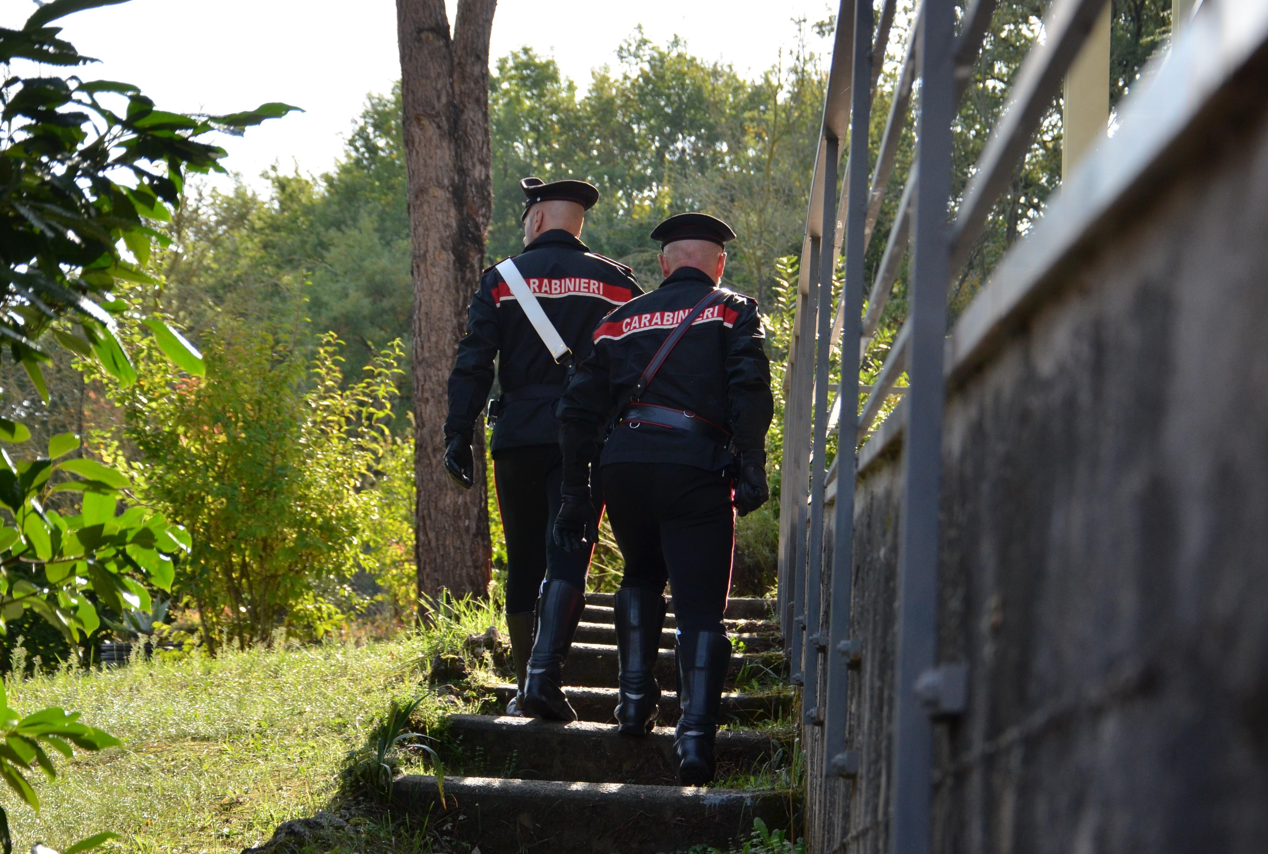 Porta le pecore in un terreno altrui: denunciato a Burcei per pascolo abusivo