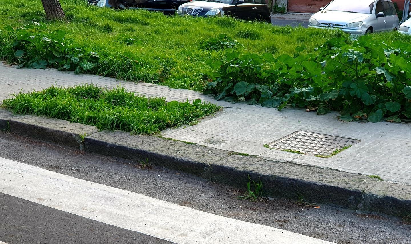 Bando da 800mila euro per tenere pulite ottomila caditoie