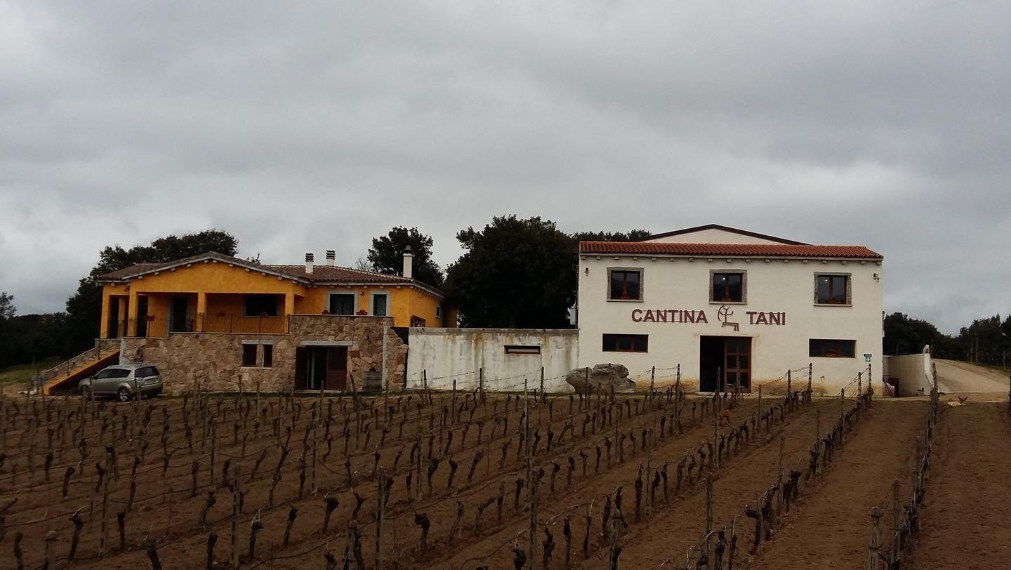 Vino e amore in cantina: «Il mio cuore in Gallura» 