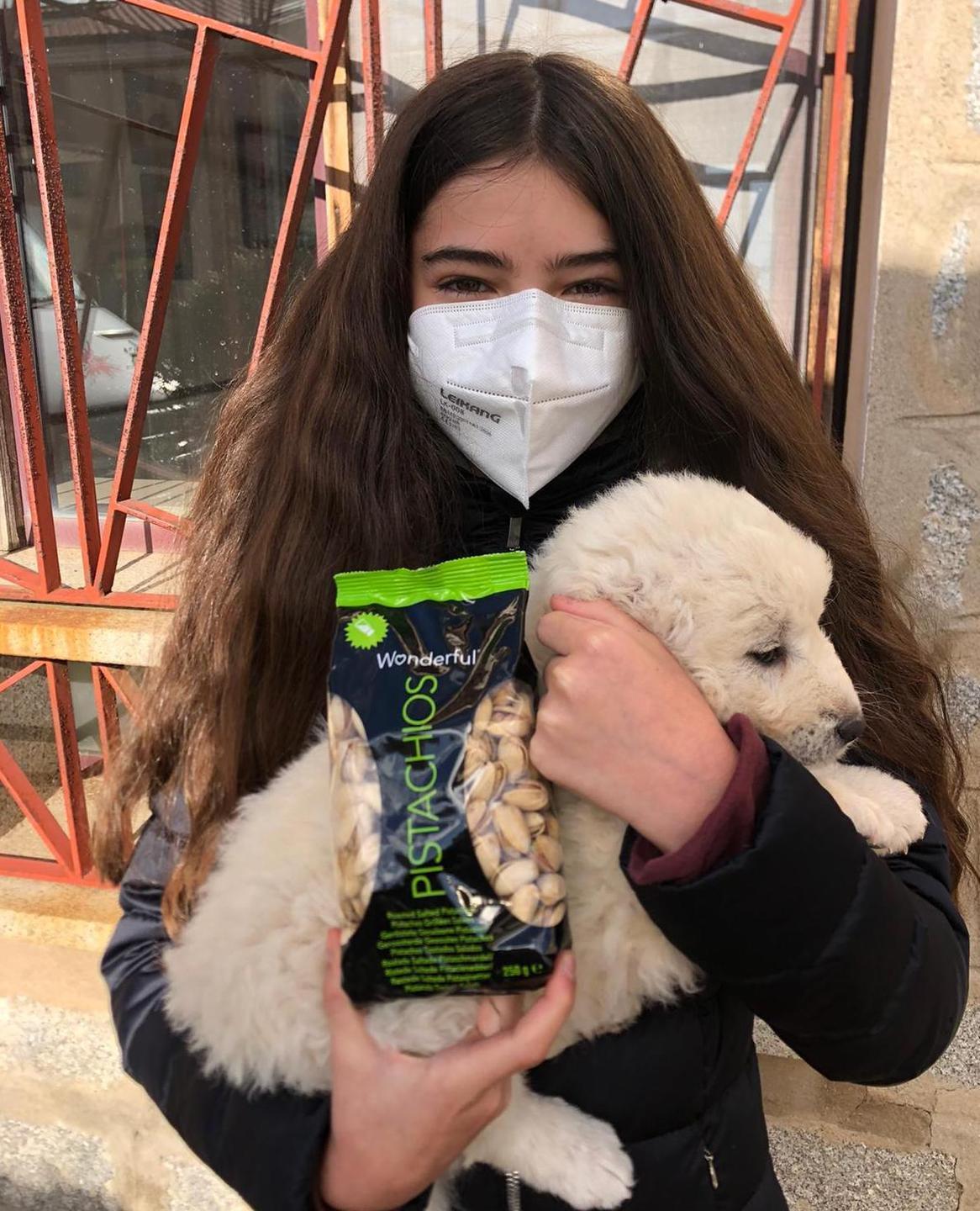 Pattada, il cane Pistacchio diventa una star mondiale 