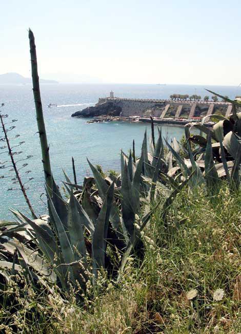 Il mercato cresce: terrazzo o giardino nella casa dei sogni dopo il lockdown