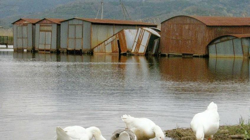 Il progetto del Parco: sei darsene sul lago al posto dei ricoveri dei barchini