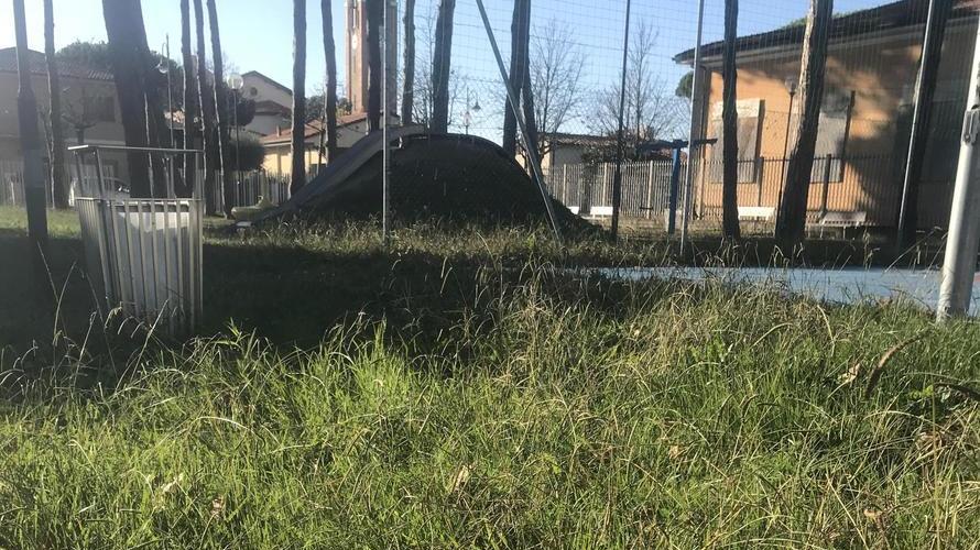 Erba alta nel parco giochi a Tonfano