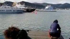 In darsena l’azione delle spugne per purificare il nostro mare