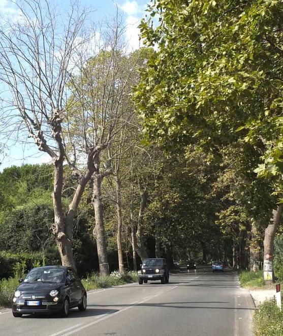 Al Comune la litoranea e il viale D’Annunzio
