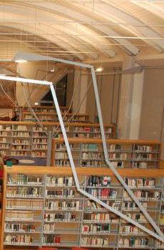 Consegna a domicilio di libri, riviste, cd e dvd
