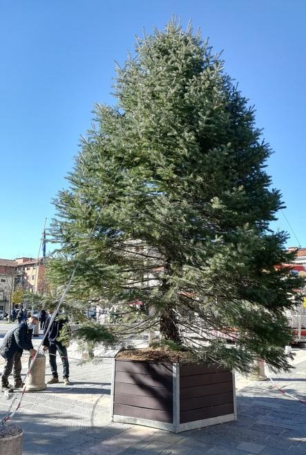 Luci in centro e abete in piazza Neppure Quarrata rinuncia