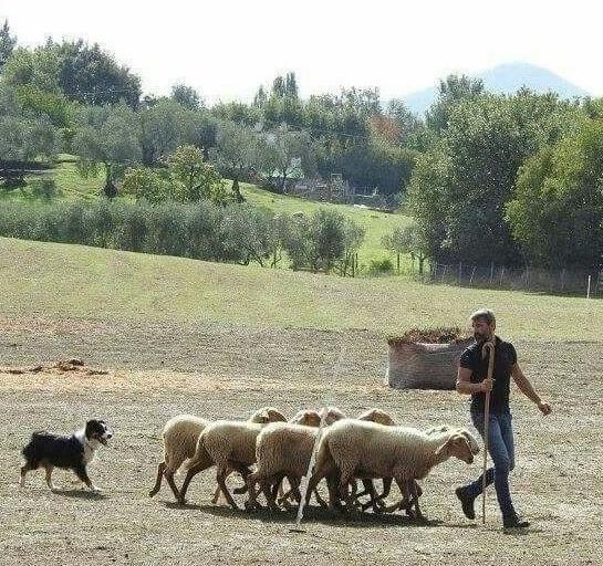 Bandi per cantieri in tutta la Sardegna 