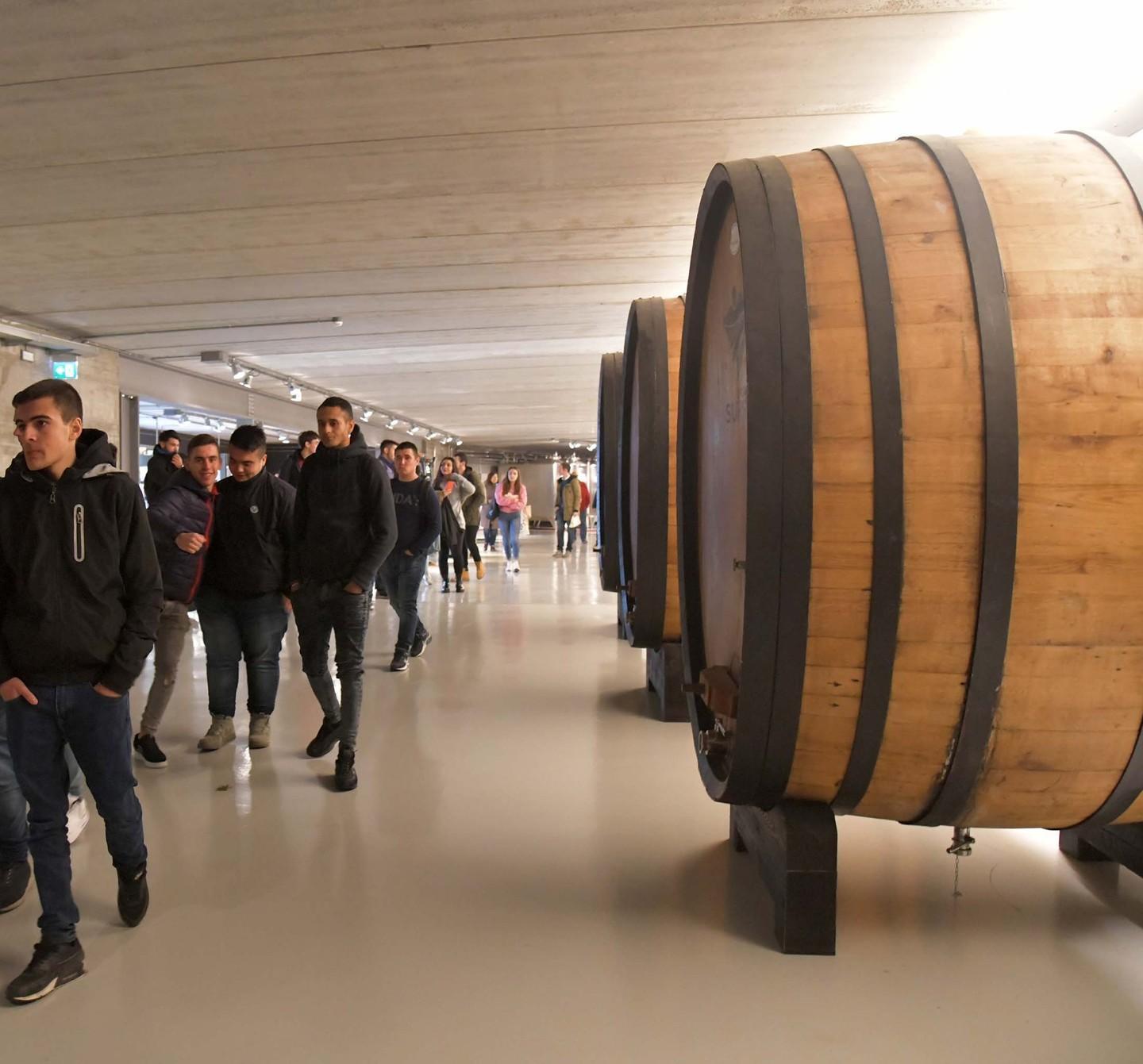 Vigne Surrau, vent’anni di vini con il profumo della Gallura 