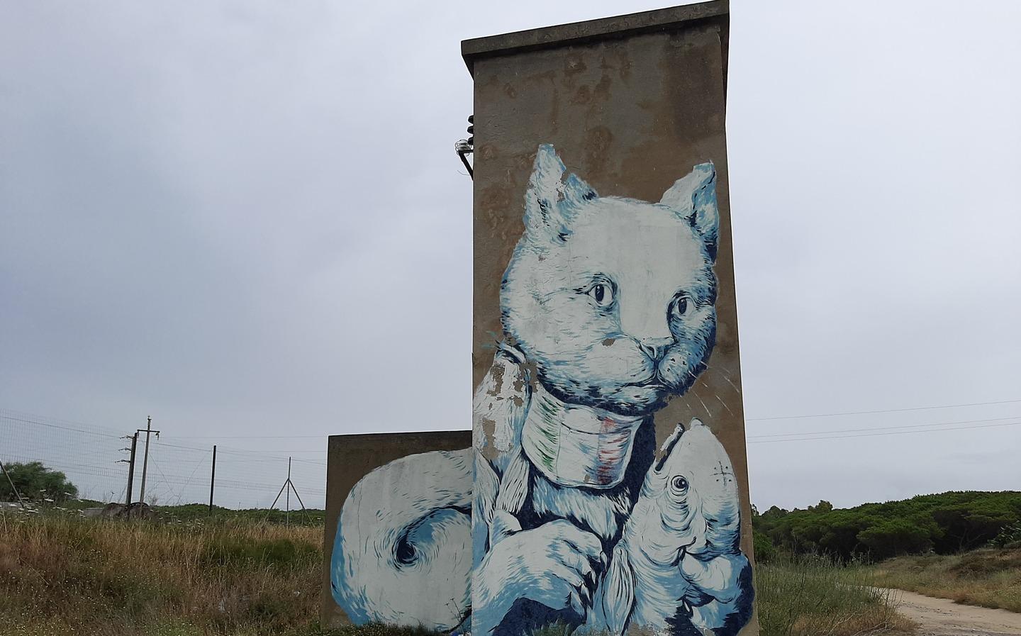 Regolamento per i writers un tesserino per dipingere 