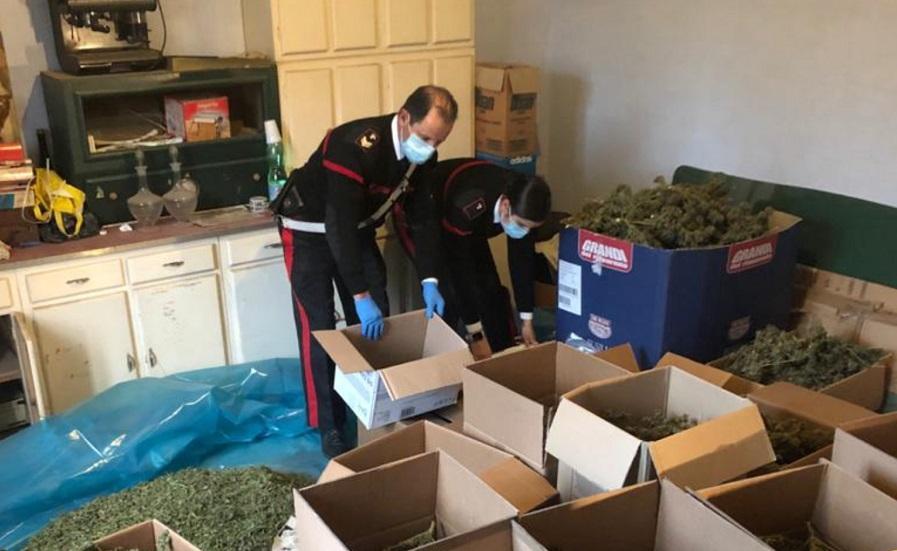 San Gavino, 105 chili di marijuana a casa: arrestato un 62enne