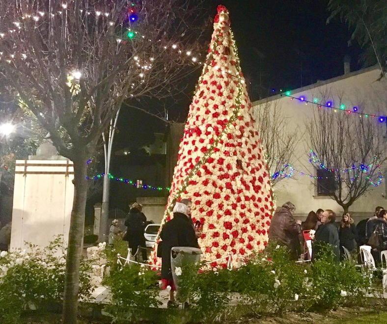 Niente Presepe Vivente a Rosignano, annullato causa Covid: salvato l’Albero delle donne... grazie al calcio 
