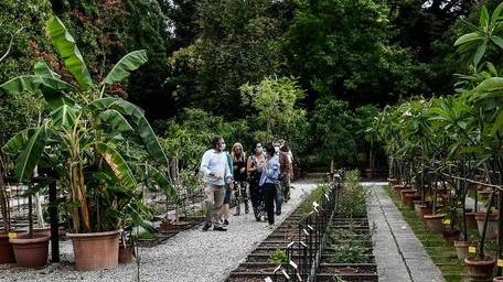 Ingressi gratuiti al Giardino botanico e al Museo della figurina