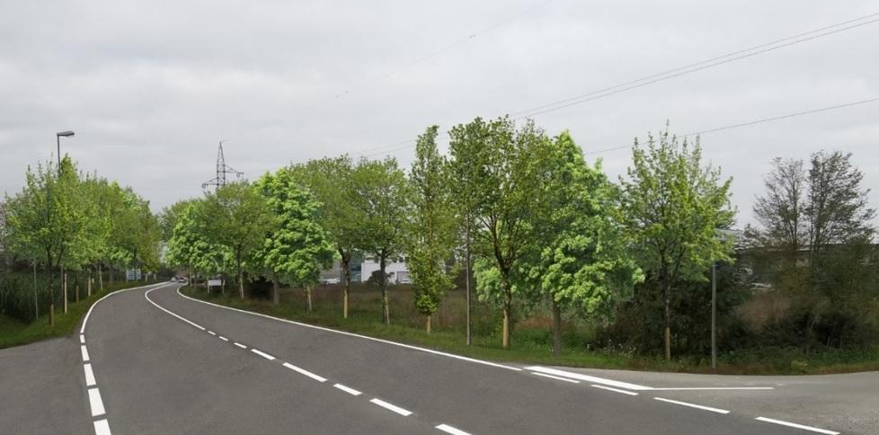 In cerca di fondi per piantare alberi e abbattere lo smog 