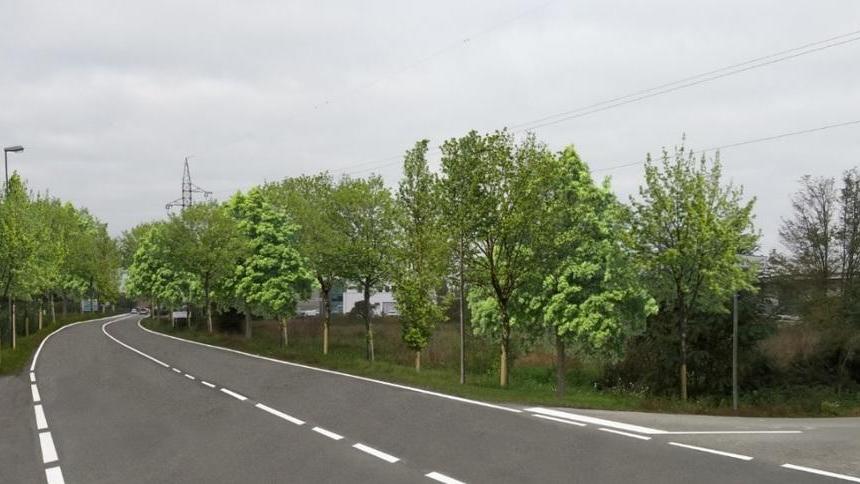 In cerca di fondi per piantare alberi e abbattere lo smog