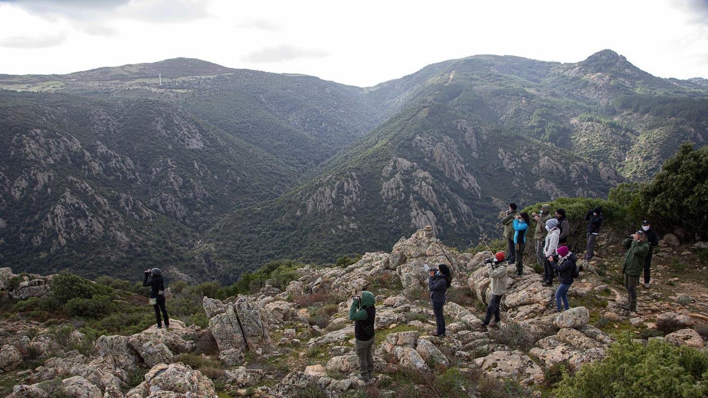 Nel Parco di Tepilora si formano i birdwatcher 