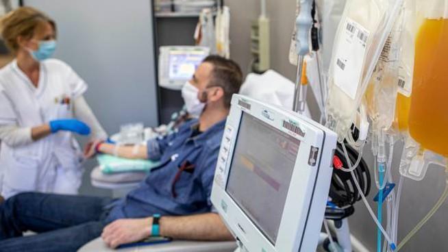 Parte la sperimentazione con il plasma iperimmune al Versilia