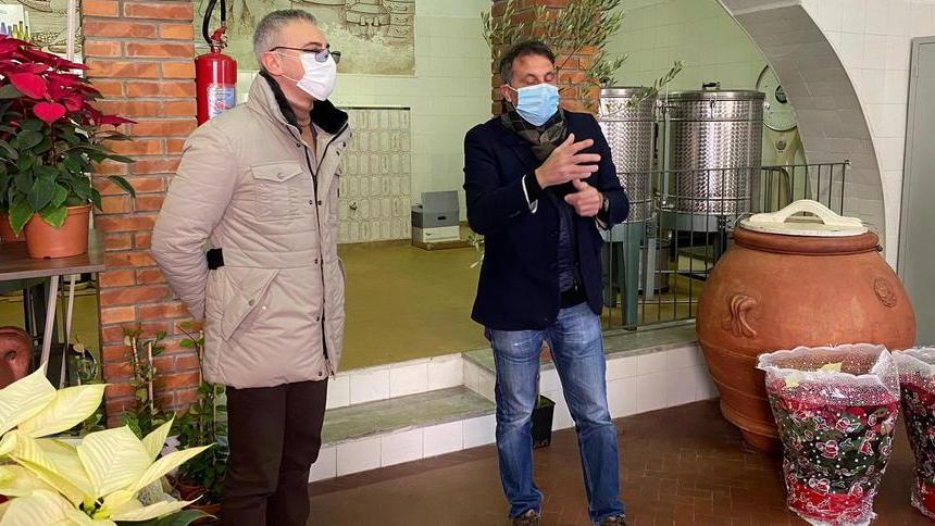 Il sindaco Giurlani propone di creare il distretto dell’ulivo