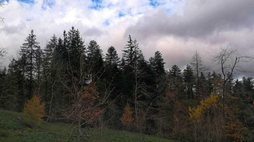 «Terme a Campo al Pero» Il sindaco apre alle imprese