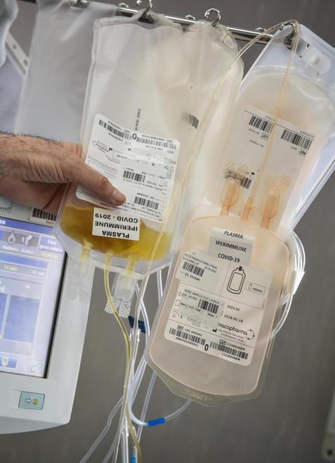 Plasma iperimmune finora donati 84 litri per curare i pazienti colpiti dal Covid 