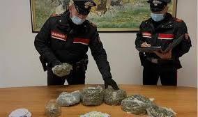 Spaccio e traffico di droga tre arresti e una denuncia 