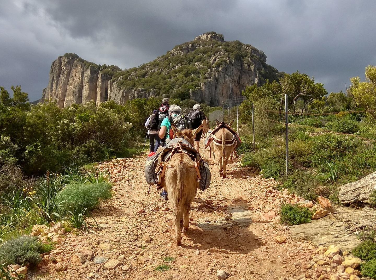 Turismo, il modello Ogliastra vola a Bruxelles 