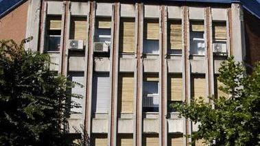 Il calendario dell’anagrafe canina e randagismo