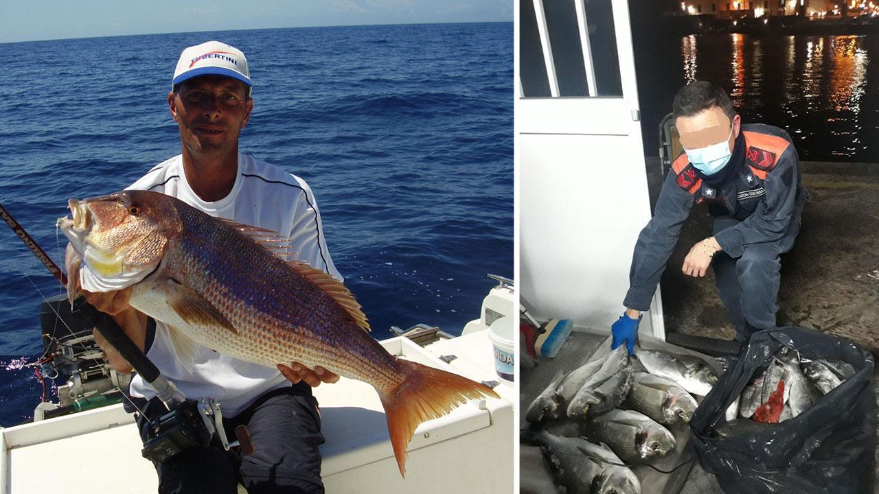 A sinistra Marco Volpi, campione del mondo di pesca sportiva e personaggio conosciutissimo nel mondo ittico. A destra, in una foto diffusa dalla guardia costiera, alcune delle orate sequestrate