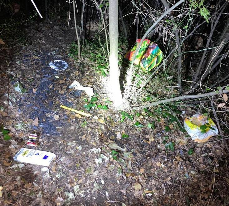 Il luogo dove viveva l'uomo arrestato, in mezzo al bosco
