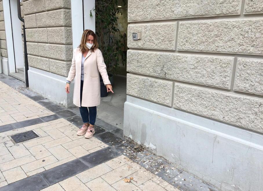 «Cumuli di guano in pieno centro Ora il Comune venga a pulire» 