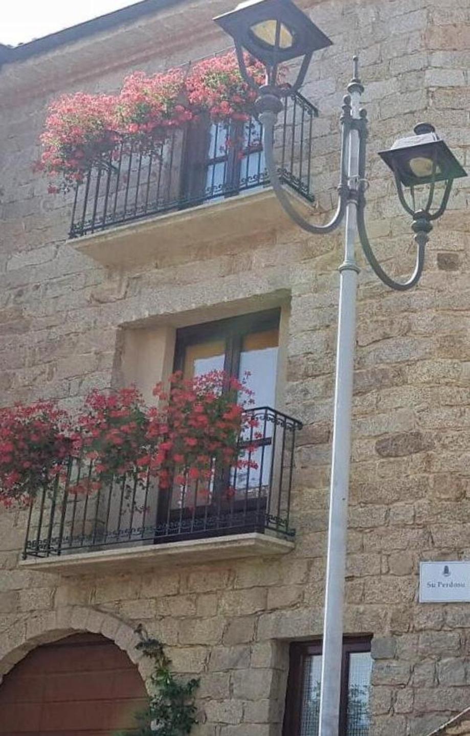 Balconi fioriti, Gavoi assegna i premi 