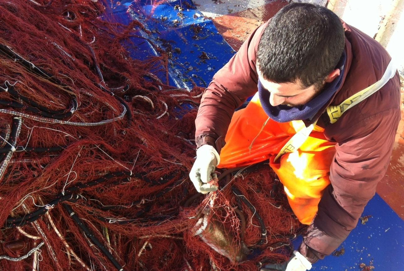 La rete della solidarietà porta un quintale di pesce nelle case