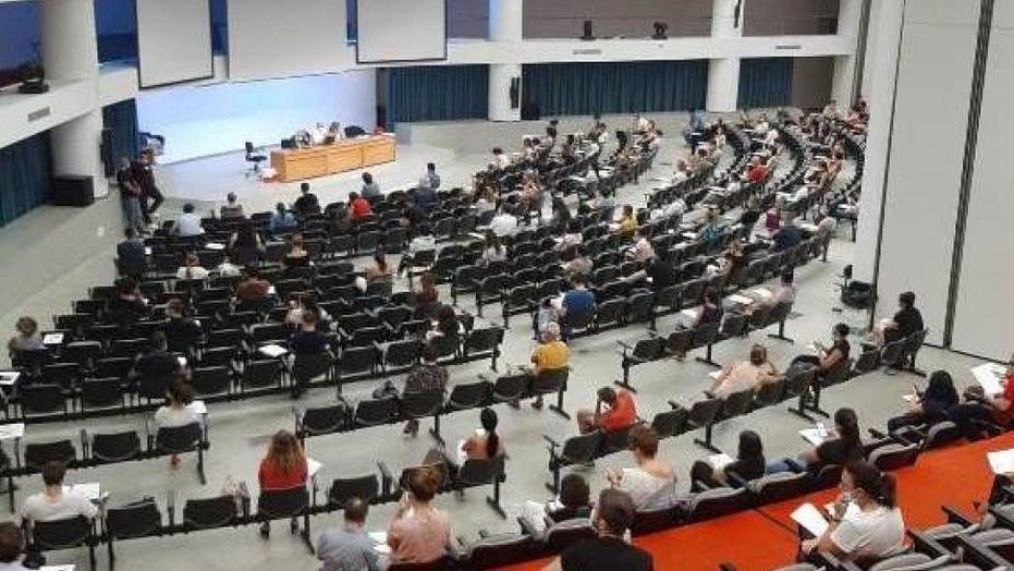 Agronomo, elettricista e falegname: tre assunzioni al Comune di Pisa