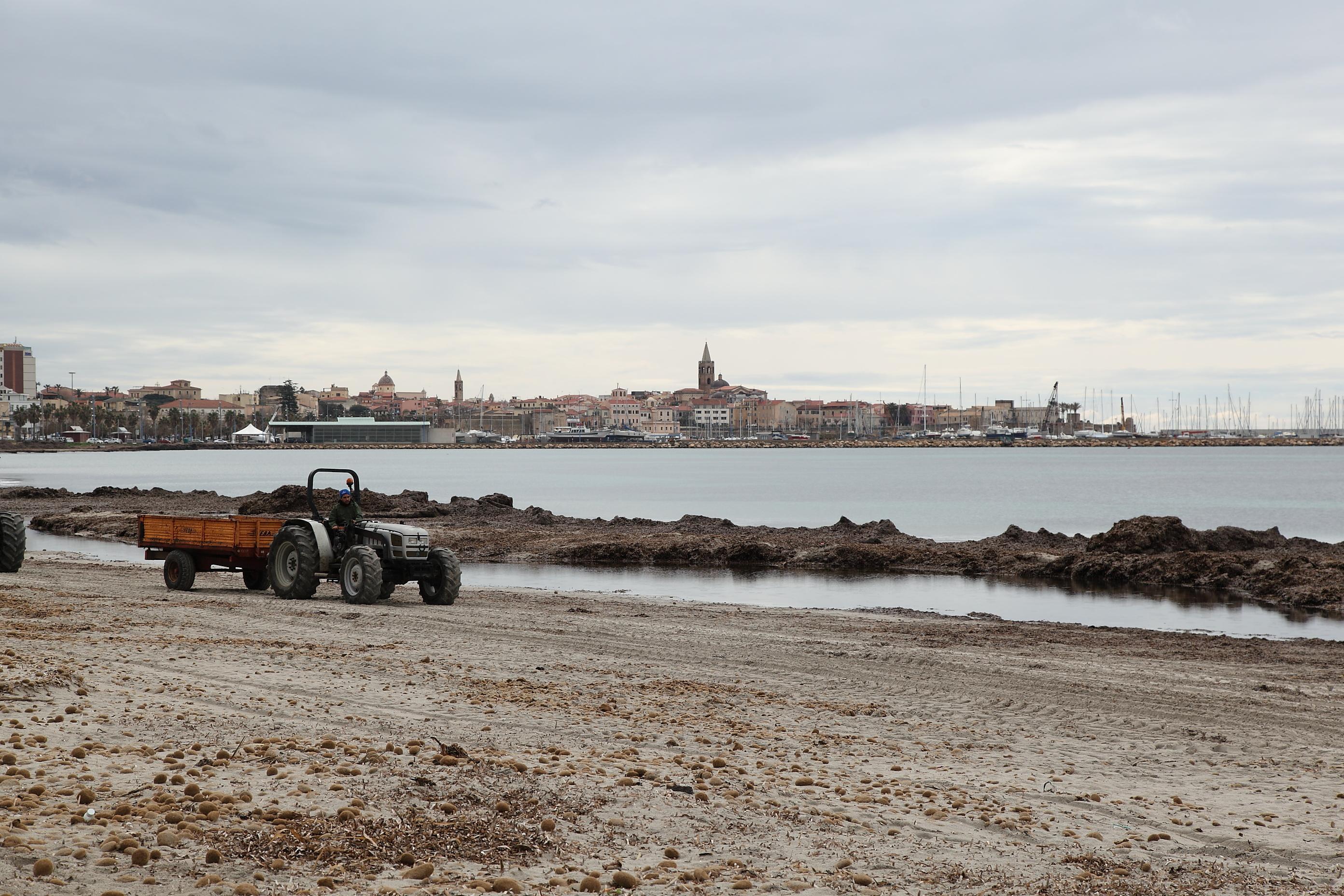 Alghero, non è abusivo il chiosco bar sulla spiaggia del Lido: il Tar dà torto al Comune