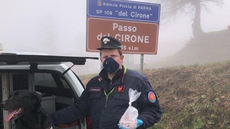 Il fiuto di Alma non tradisce trovati bocconi avvelenati lungo il Passo del Cirone