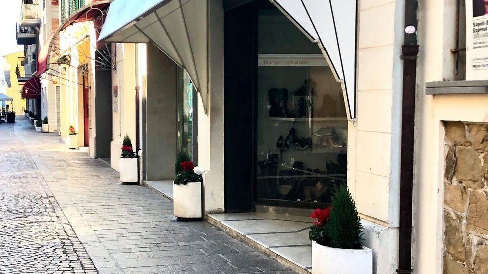 Tanti fiori e Luminaria È in partenza l’animazione natalizia