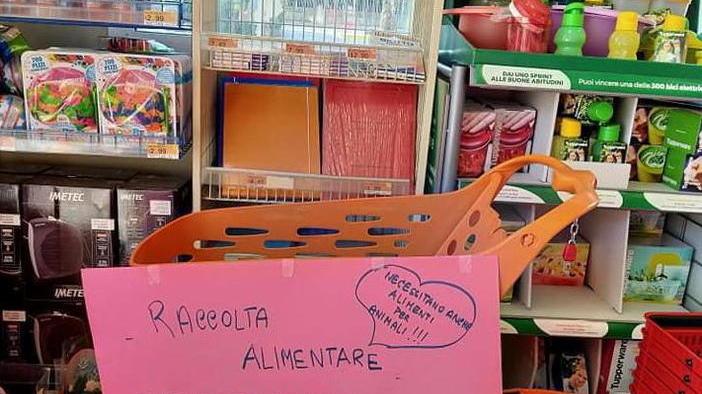 Ripresa la raccolta alimentare in supermercati e negozi