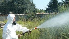 Versalis produrrà erbicidi “green”