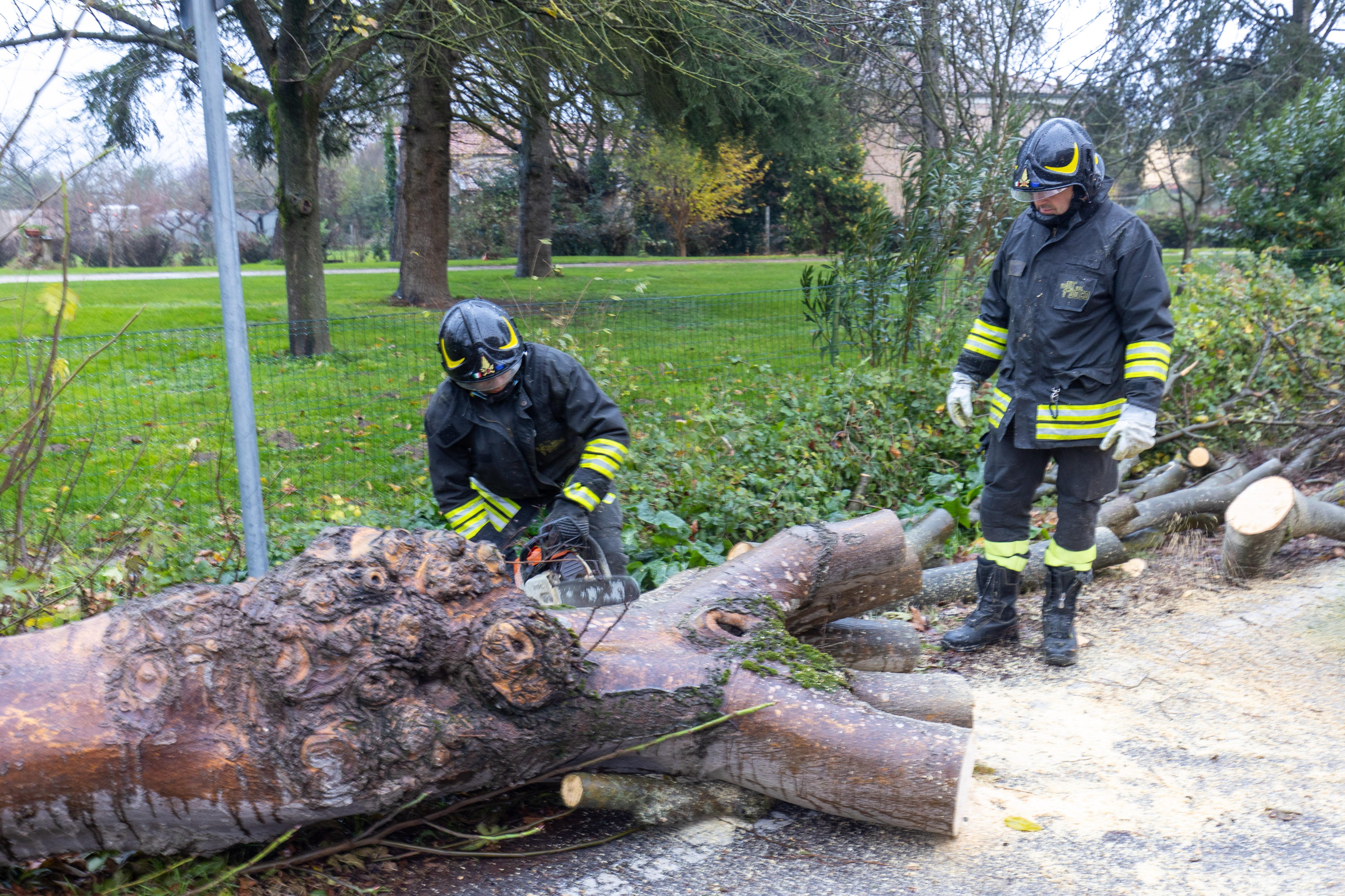 Ferrara: forte vento e alberi caduti