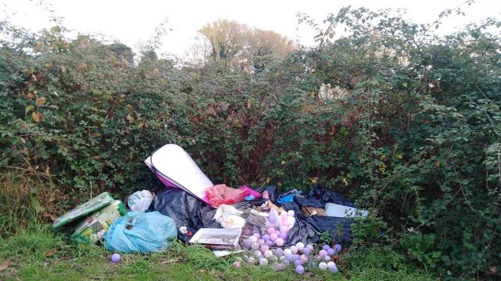 Rifiuti per strada, porta a porta a singhiozzo e tra Ricortola e Partaccia vince lo sporco