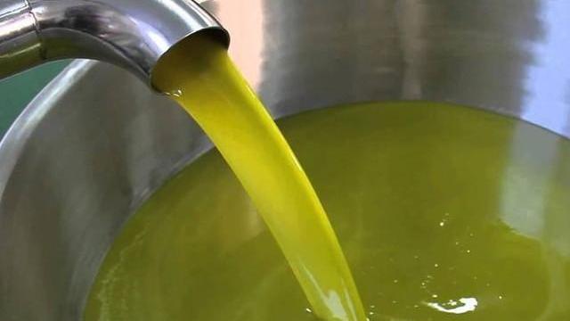 Blatte ed escrementi trovati nel frantoio Nas e Asl ordinano la sanificazione