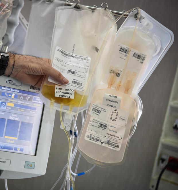 Avis Montagna pronta a raccogliere donazioni di plasma iperimmune 