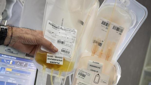 Avis Montagna pronta a raccogliere donazioni di plasma iperimmune