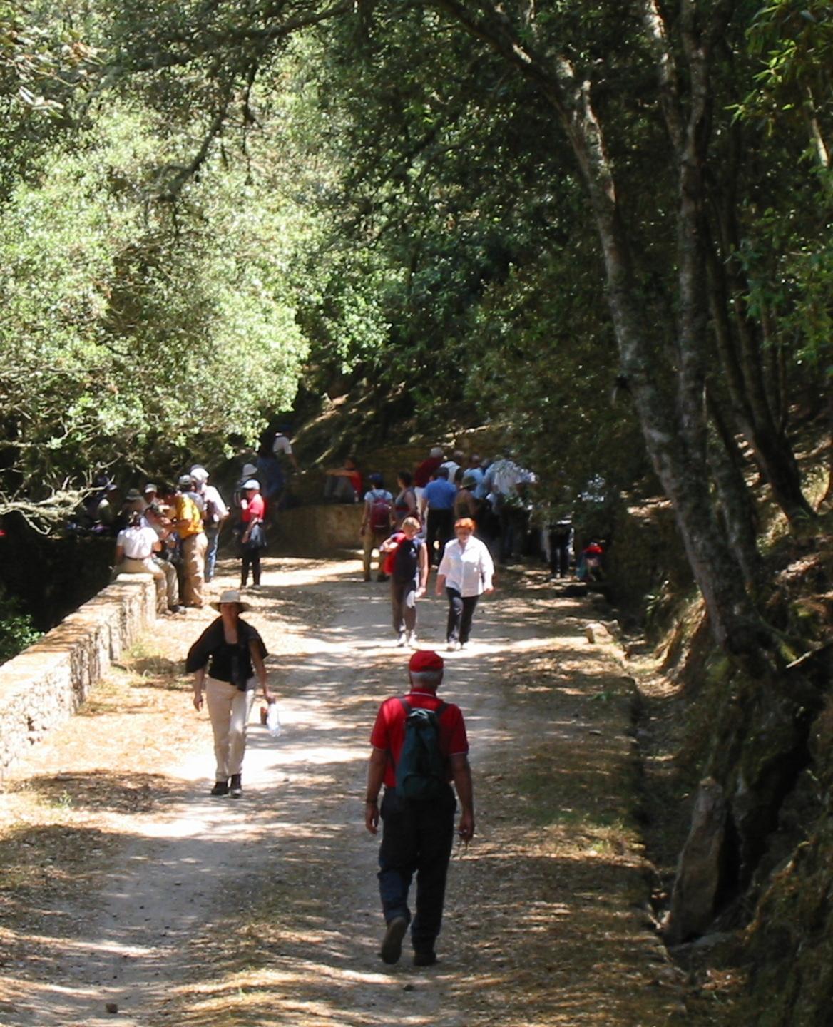 Strade, acqua, hotel diffuso: così l’Asinara risorgerà 