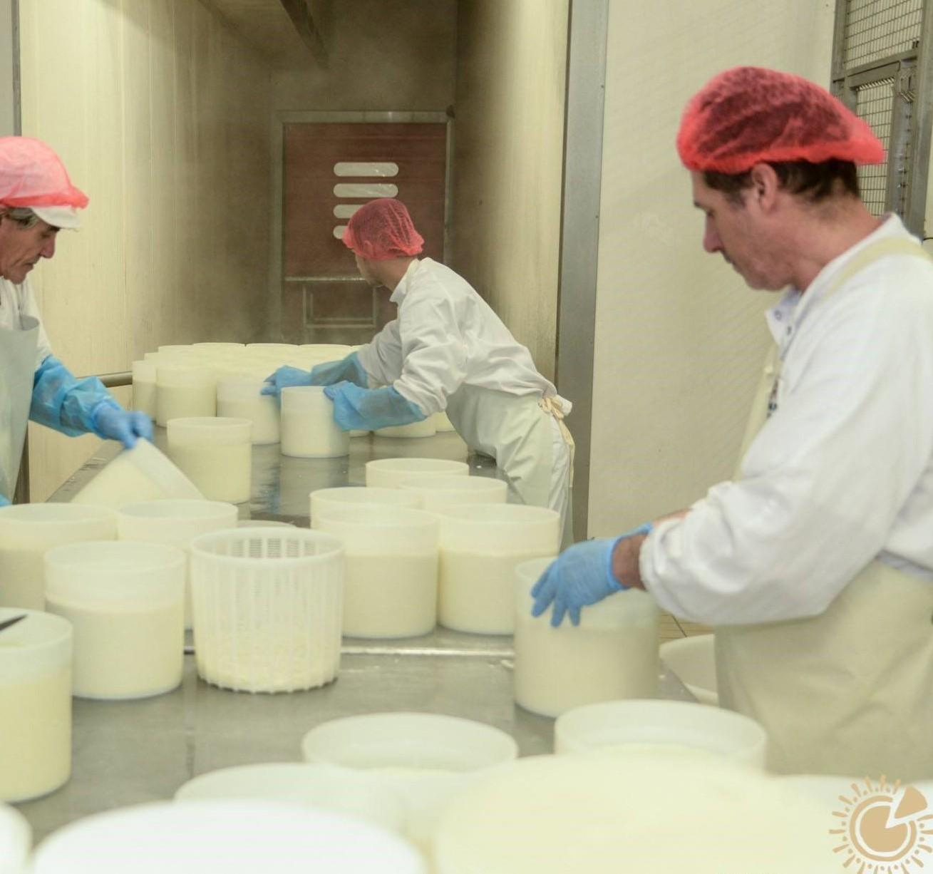 Fratelli Pinna di Thiesi, da un secolo ambasciatori dei formaggi sardi 