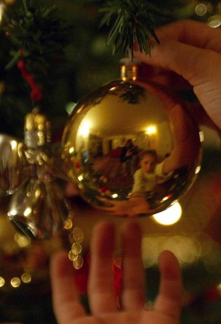 “Una foto del tuo albero”: la prima arrivata 