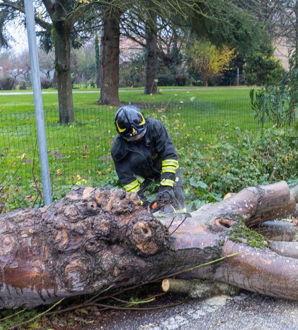 Cadono alberi e transenne Danni alle auto in sosta 