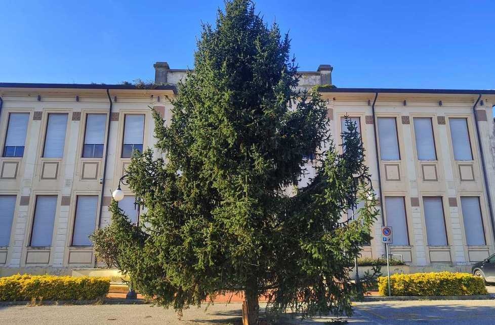 A Jolanda è arrivato l’albero