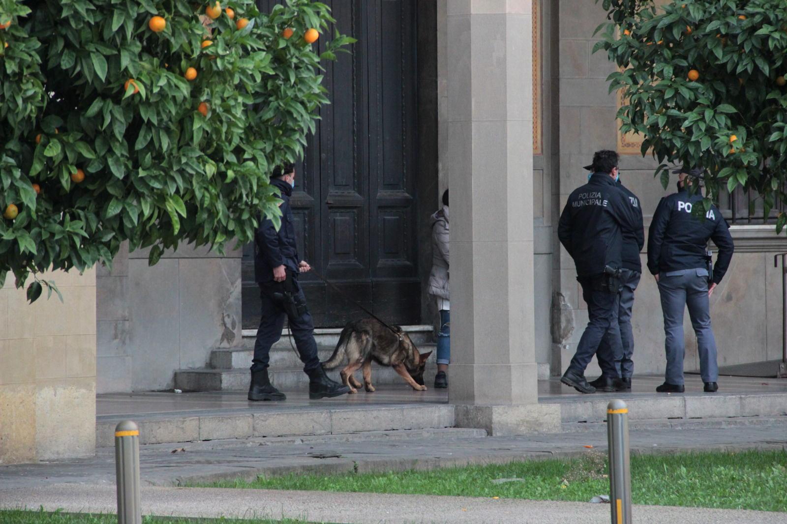 Un cane antidroga della polizia municipale nella zona dei loggiati delle Poste in piazza Vittorio Emanuele II